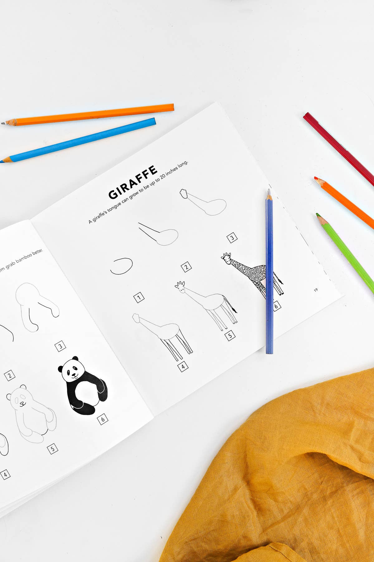 All The Animals: A How to Draw Art Book for Kids Paige Tate & Co.TAYLOR + MAX