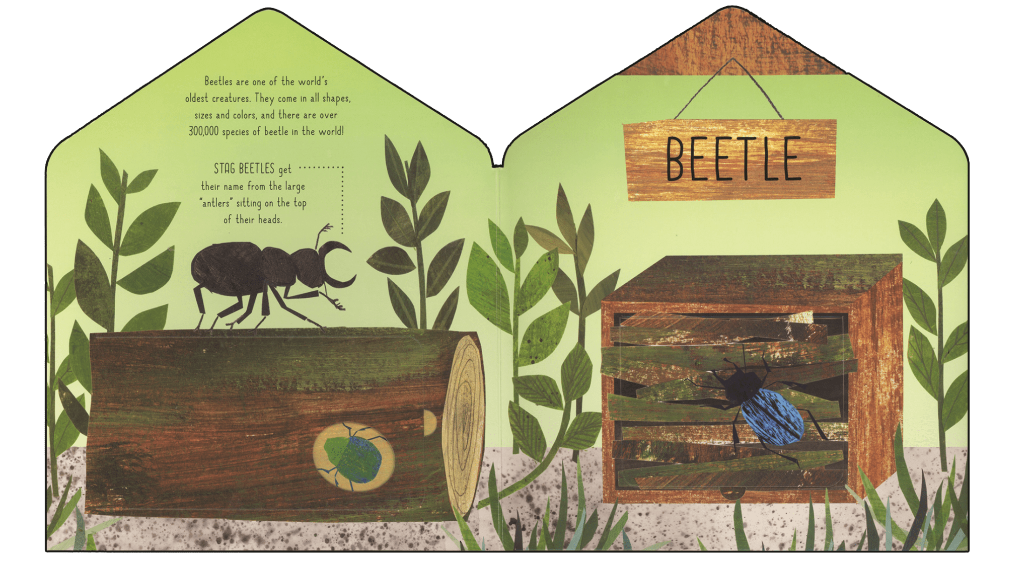 Bug Hotel EDC PublishingTAYLOR + MAX