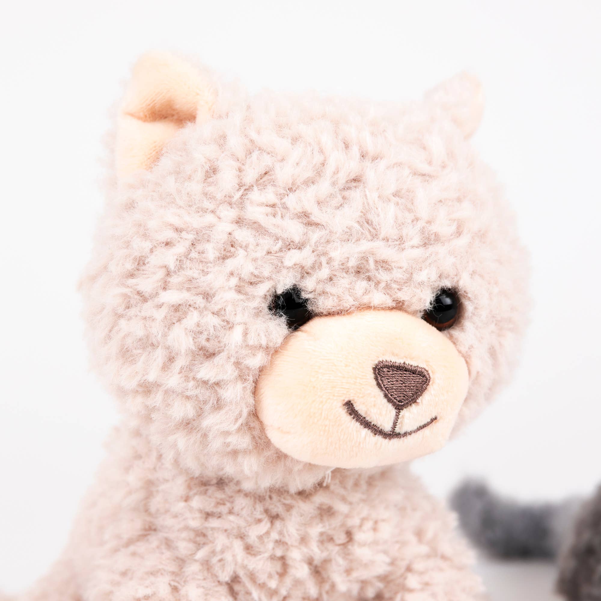 Duo Small Romy Cat EgmontTAYLOR + MAX