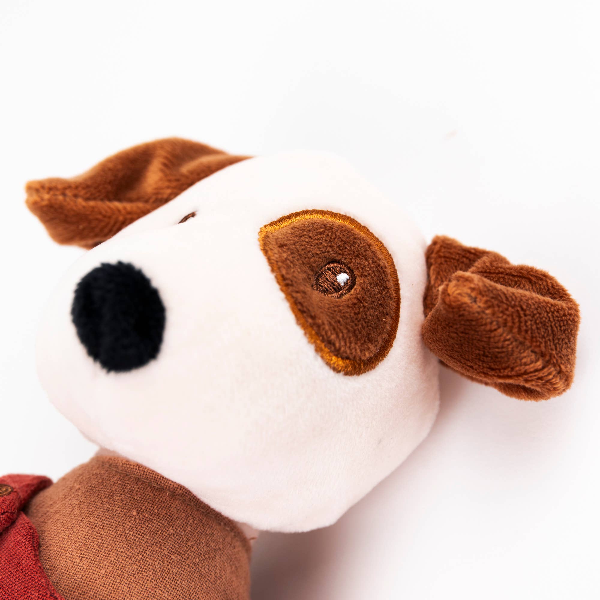 Eddie Dog EgmontTAYLOR + MAX