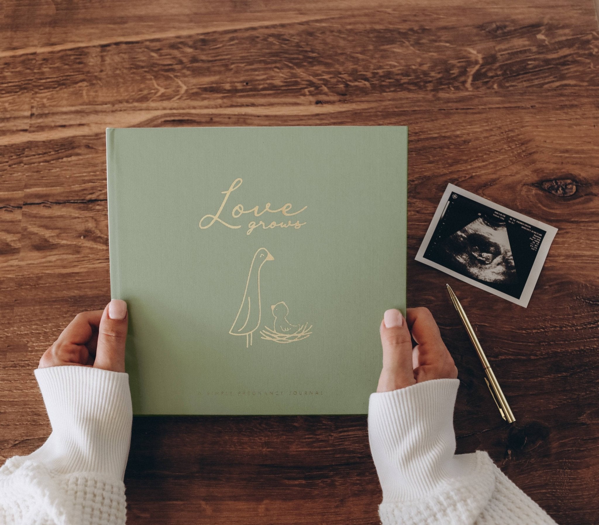 Lucy Darling Pregnancy Journal: Moss Green JournalLucy DarlingTAYLOR + MAX