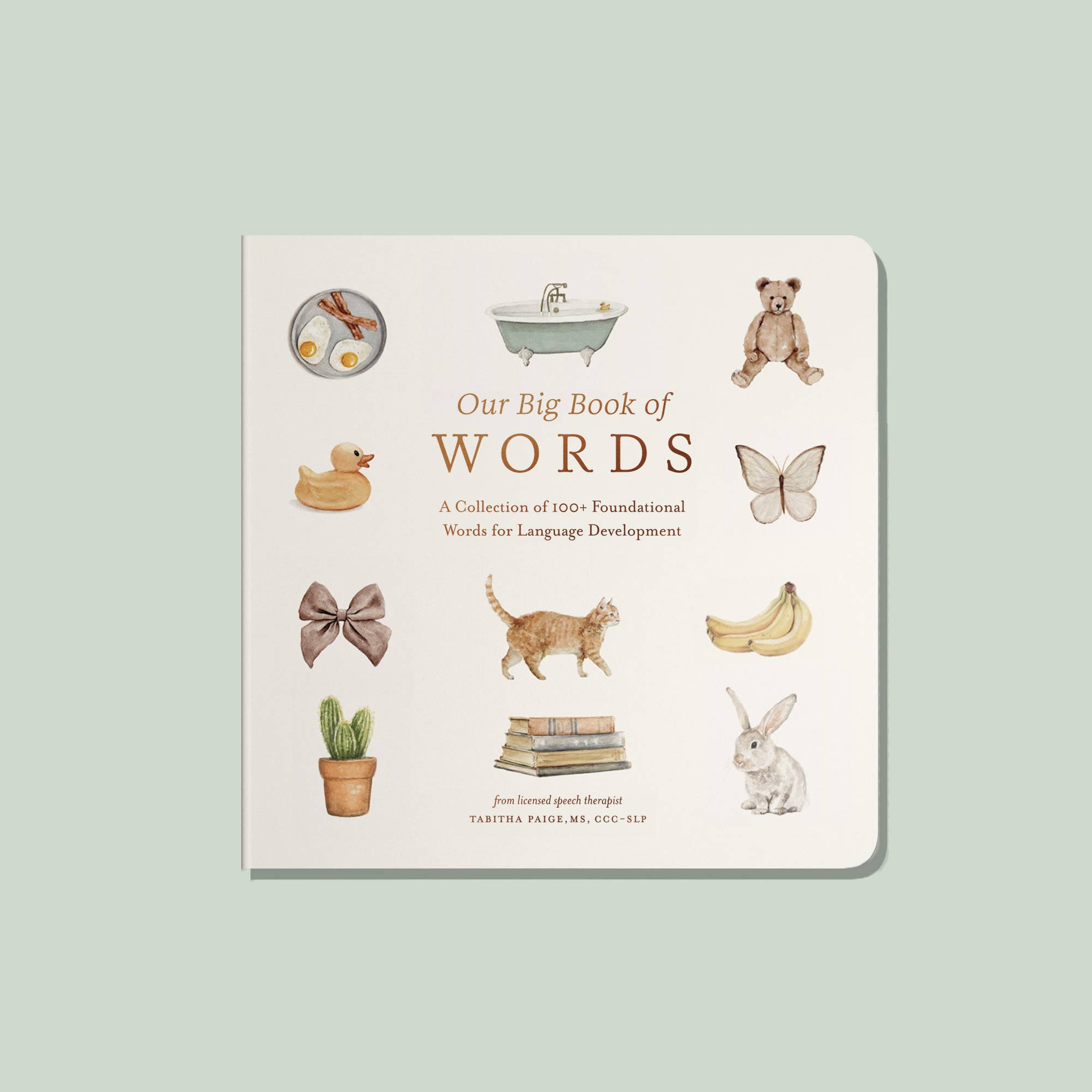 Our Big Book of First Words (Board Book) Paige Tate & Co.TAYLOR + MAX