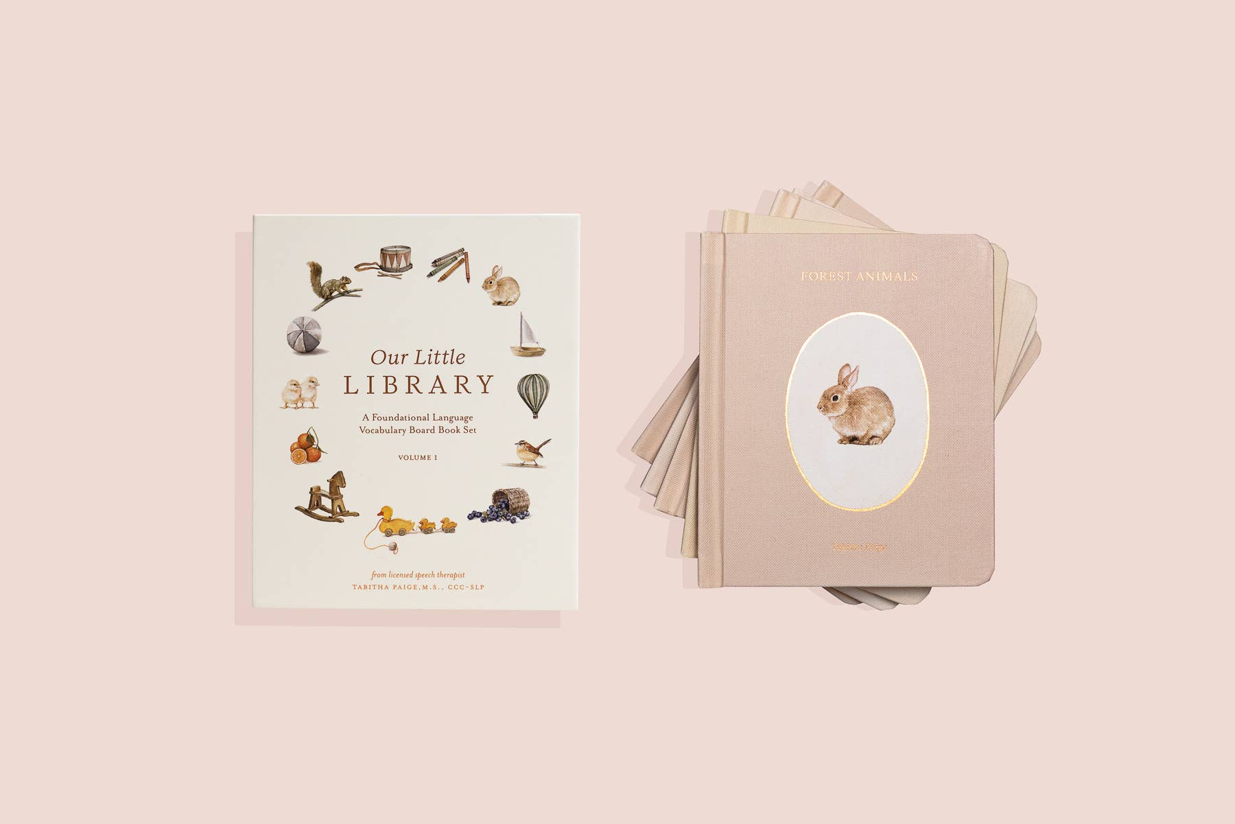 Our Little Library Vol. 1 (5 Board Book Box Set) Paige Tate & Co.TAYLOR + MAX