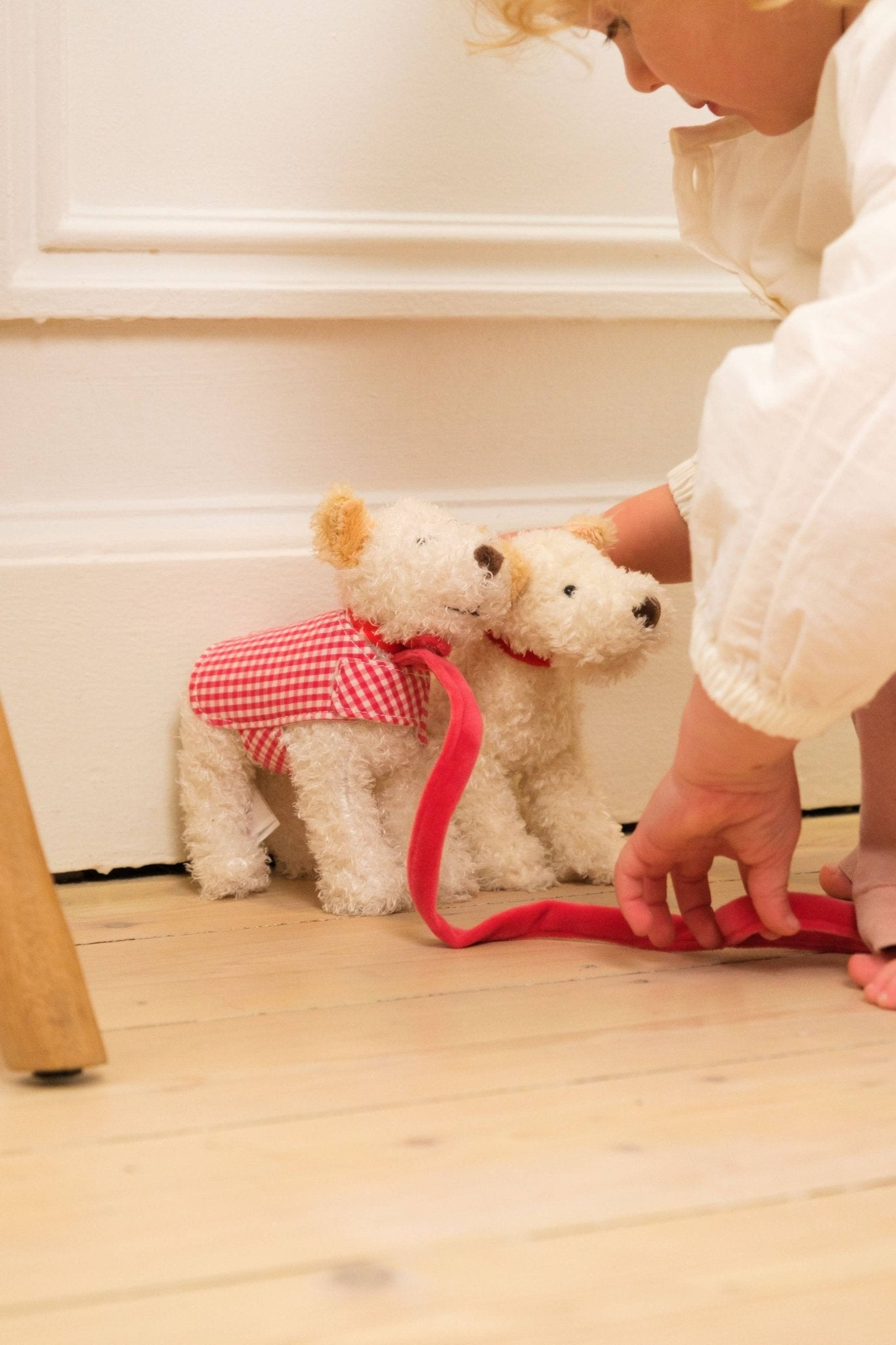Plush Eliot with Leash and Coat in a Basket Egmont
