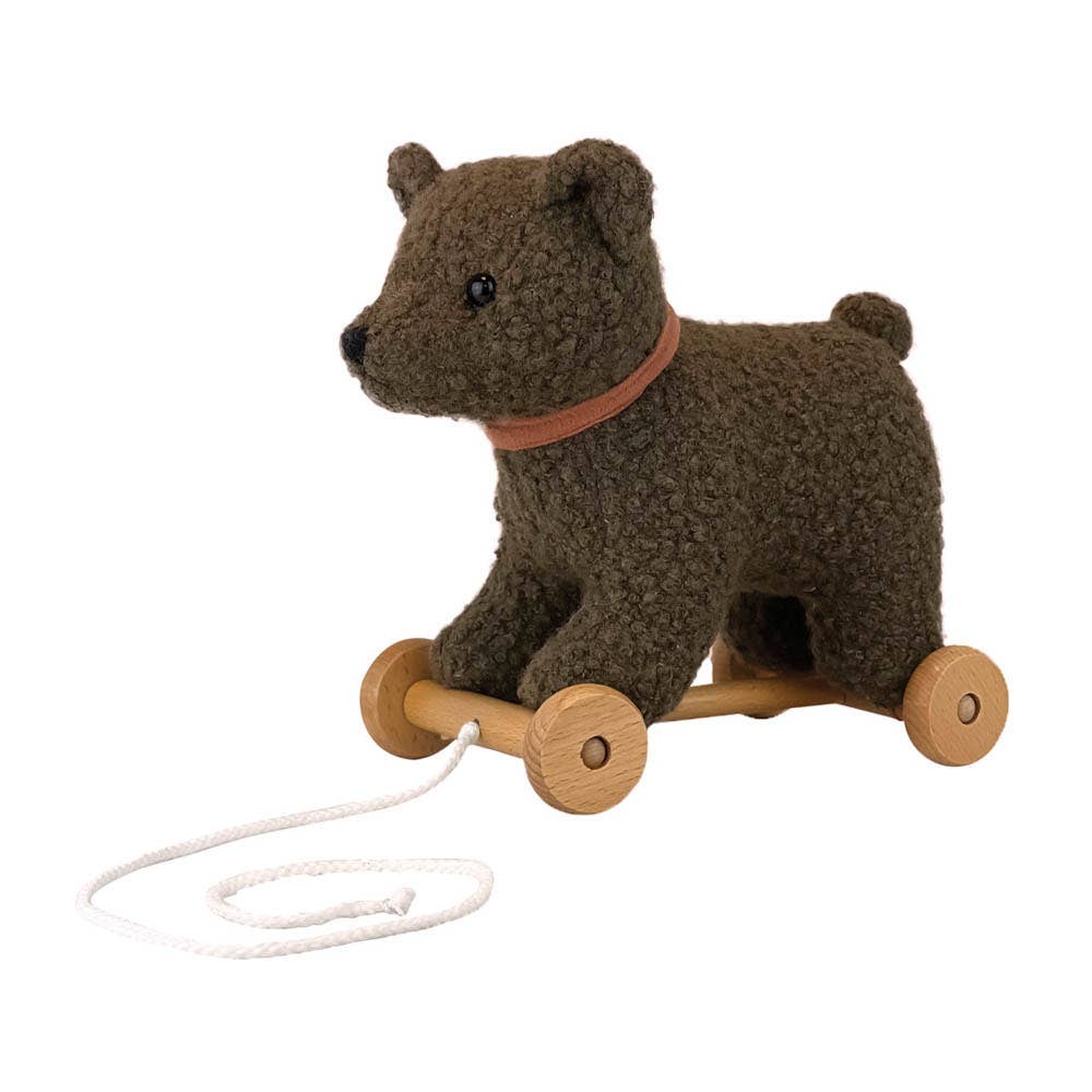 Pull - Along Raoul Activity ToysEgmontTAYLOR + MAX