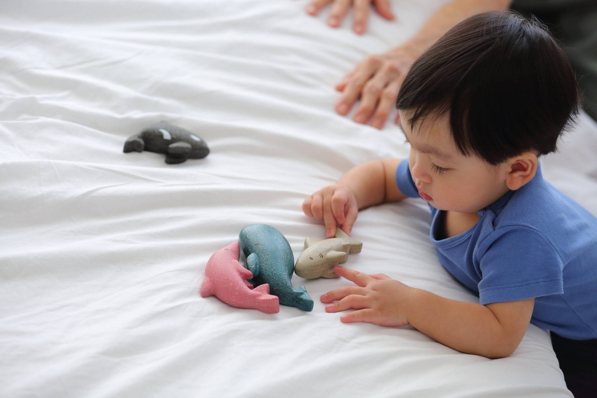 Sea Life Set Activity ToysPlanToysTAYLOR + MAX