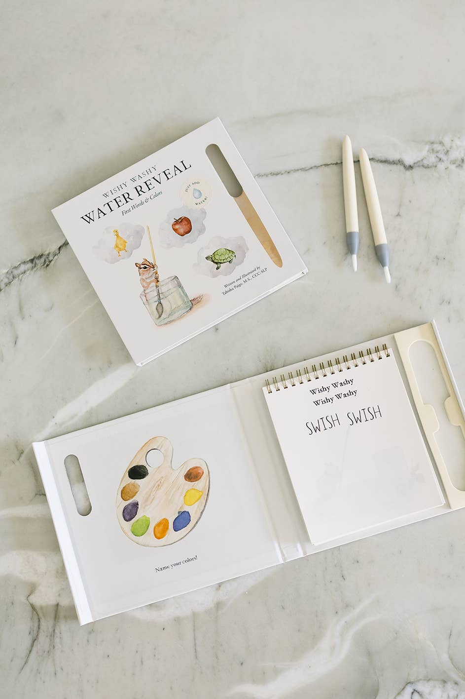 Wishy Washy| Water Reveal Book Paige Tate & Co.TAYLOR + MAX