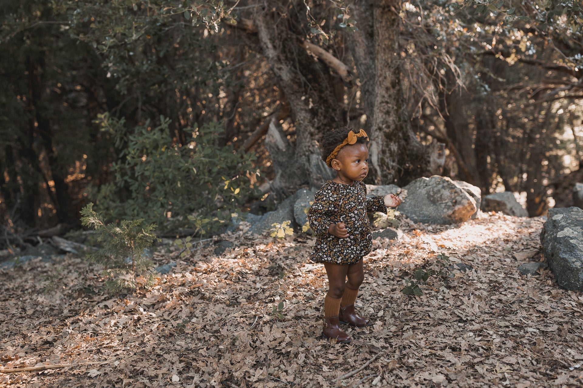 Rylee + Cru Enchanted Forest Collection AW20 Drop one - By Price: Highest to Lowest - TAYLOR + MAX