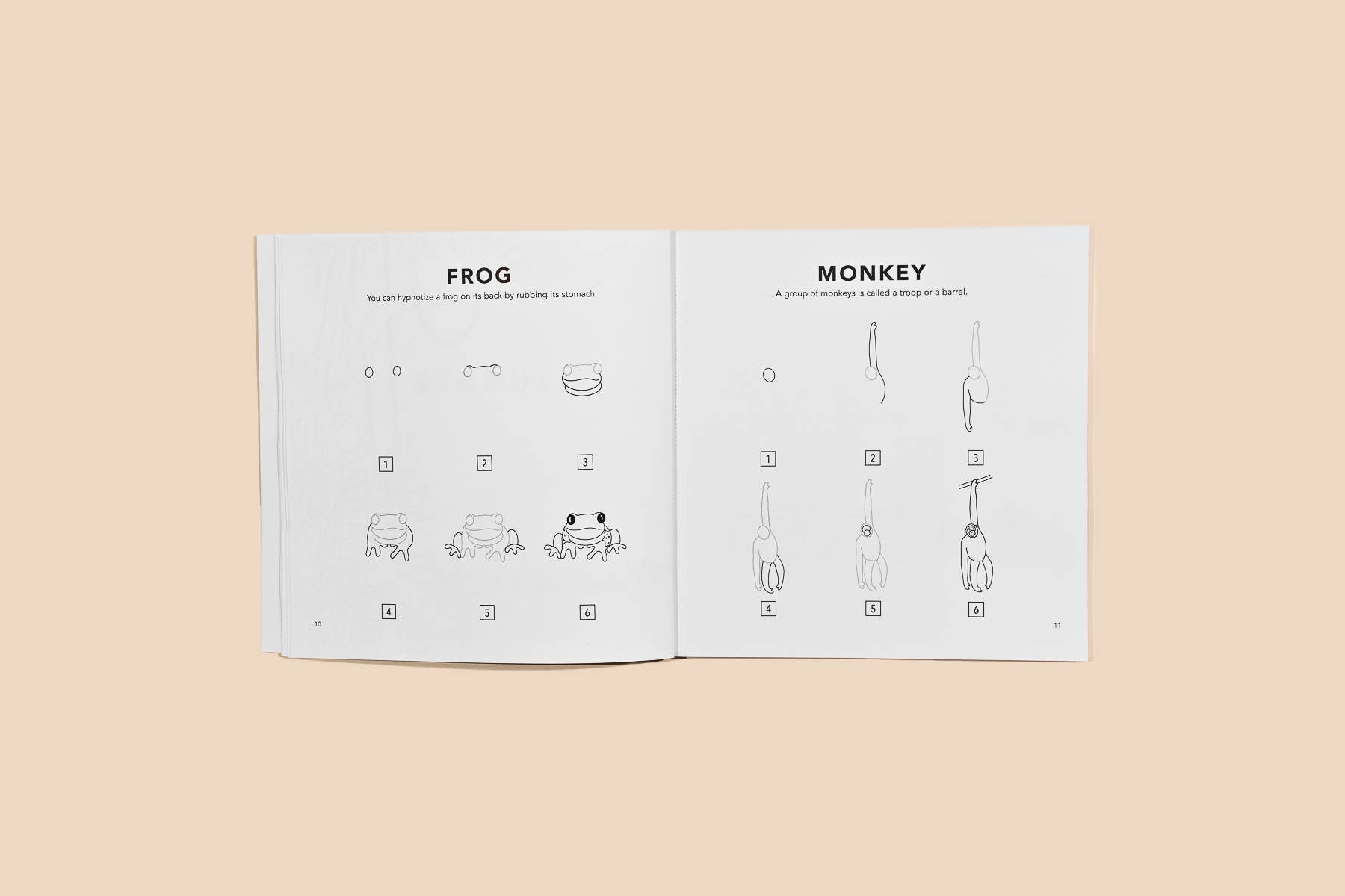 All The Animals: A How to Draw Art Book for Kids Paige Tate & Co.TAYLOR + MAX