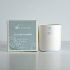 Body Balm Candle / Cactus Flower (200 g) Lotion Candle Bonnie SkincareTAYLOR + MAX