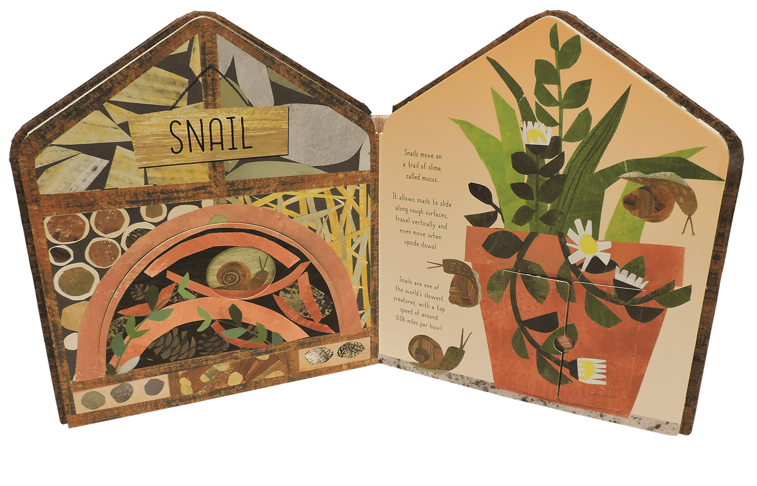 Bug Hotel EDC PublishingTAYLOR + MAX