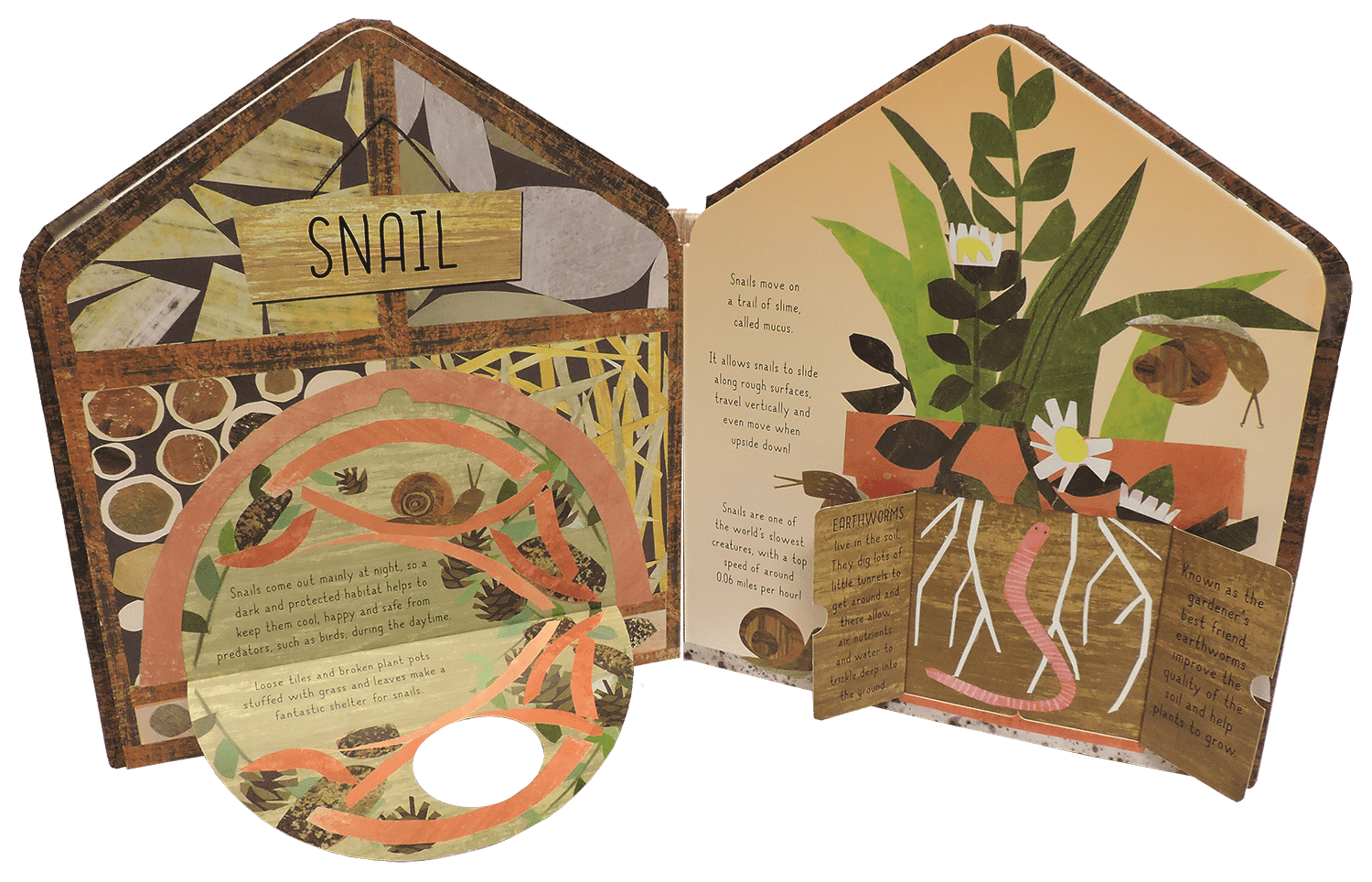 Bug Hotel EDC PublishingTAYLOR + MAX