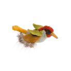 Green woodpecker - All Around the World Speedy MonkeyTAYLOR + MAX