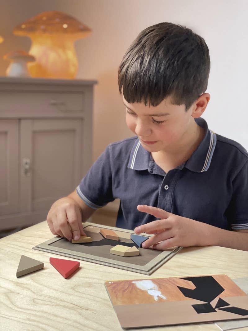 Magnetic Tangram Egmont