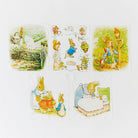 Mini Mini Beatrix Potter Mystery Boxes Sarah’s SilksTAYLOR + MAX