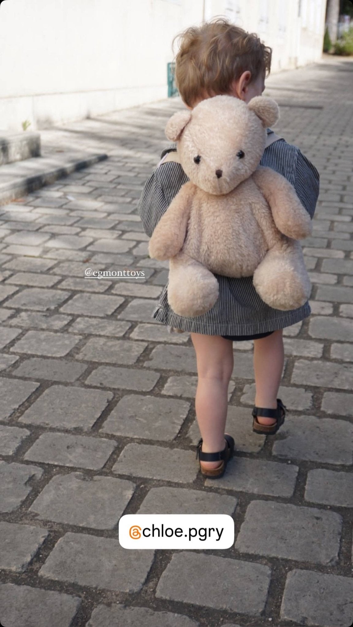 Morris Backpack BackpackEgmont