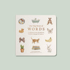 Our Big Book of First Words (Board Book) Paige Tate & Co.TAYLOR + MAX