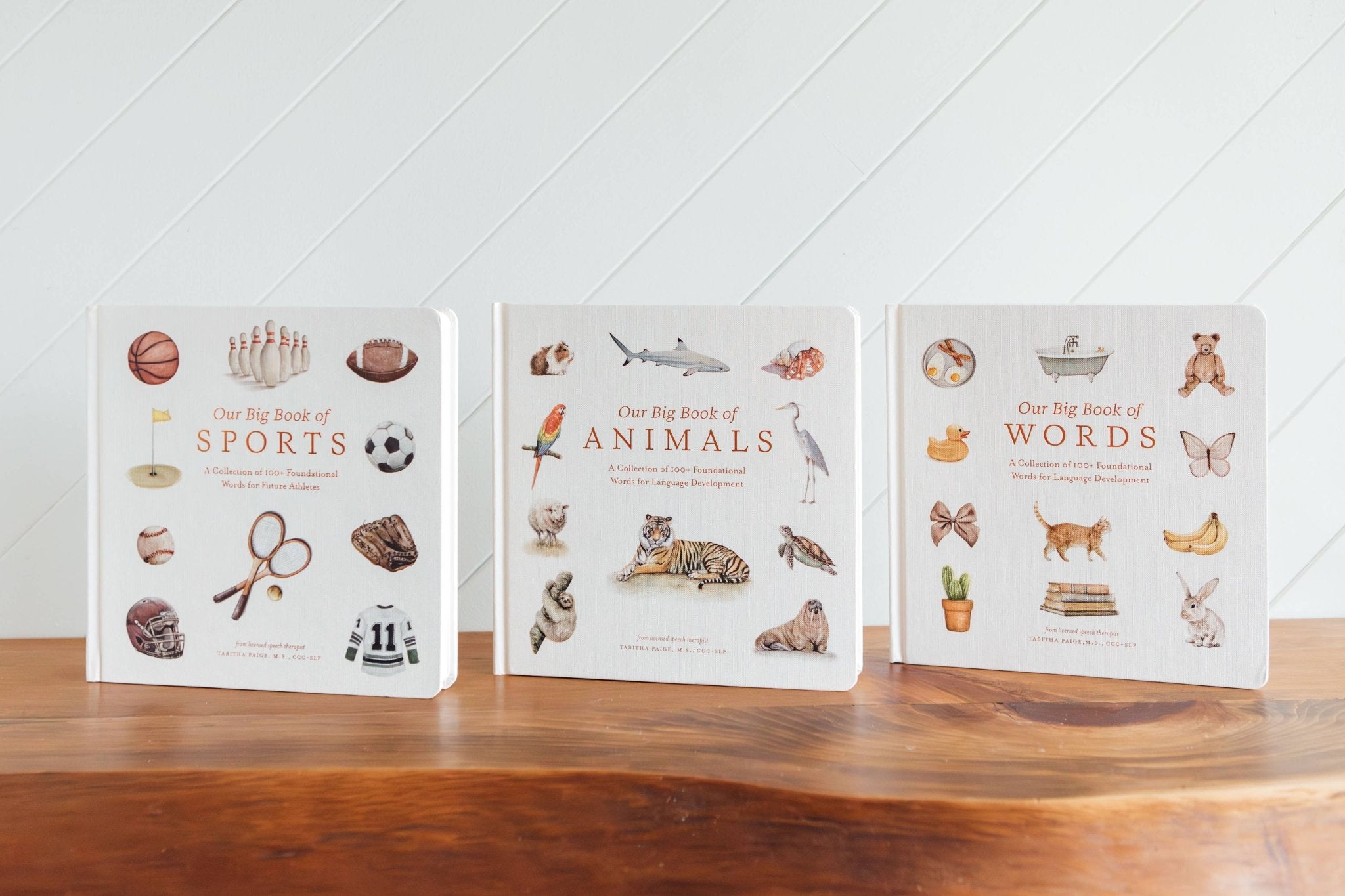 Our Big Book of First Words (Board Book) Paige Tate & Co.TAYLOR + MAX