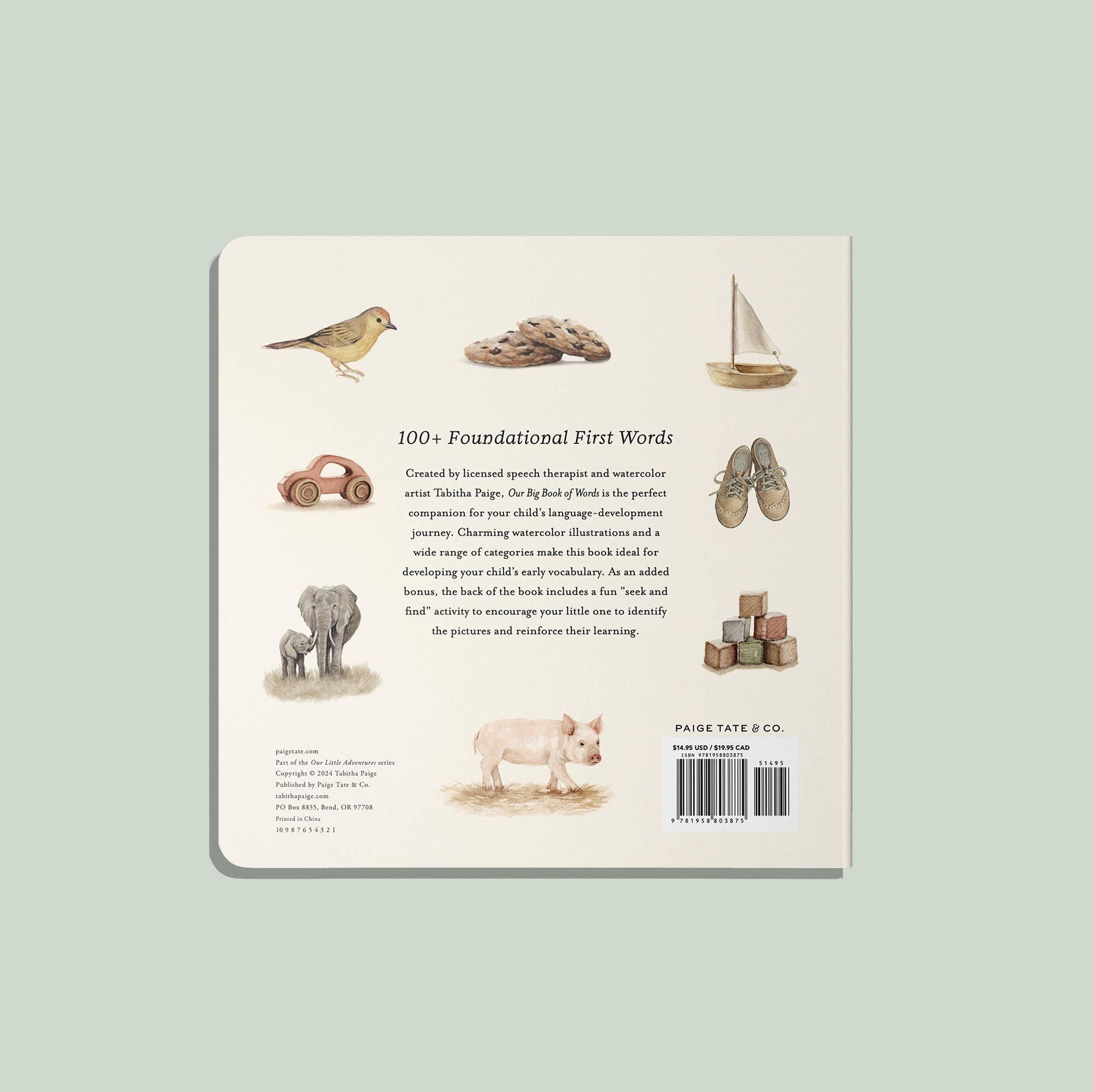 Our Big Book of First Words (Board Book) Paige Tate & Co.TAYLOR + MAX