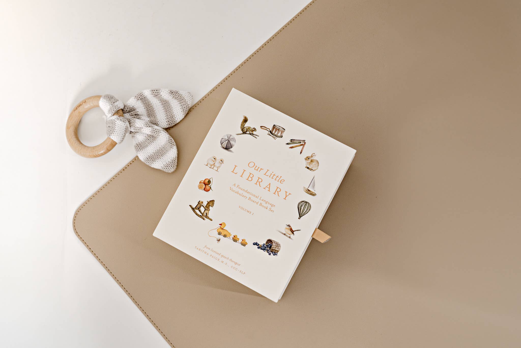 Our Little Library Vol. 1 (5 Board Book Box Set) Paige Tate & Co.TAYLOR + MAX
