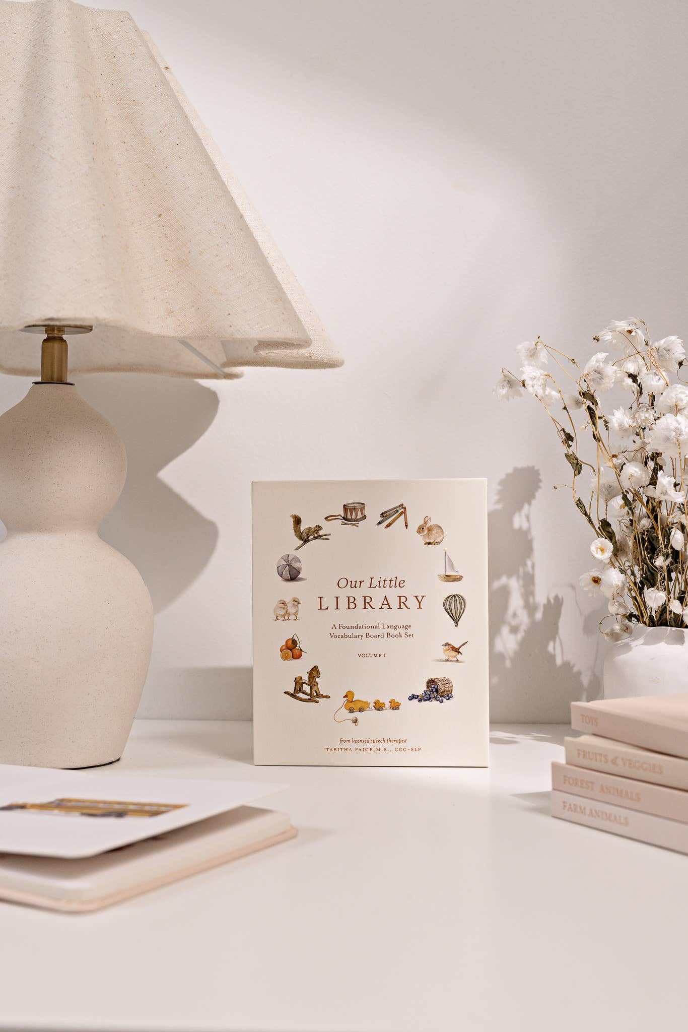 Our Little Library Vol. 1 (5 Board Book Box Set) Paige Tate & Co.TAYLOR + MAX
