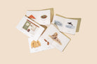 Our Little Library Vol. 2 (5 Board Book Box Set) Paige Tate & Co.TAYLOR + MAX