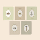 Our Little Library Vol. 3 (5 Board Book Set) Paige Tate & Co.TAYLOR + MAX