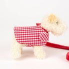Plush Eliot with Leash and Coat in a Basket Egmont