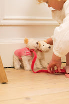 Plush Eliot with Leash and Coat in a Basket Egmont