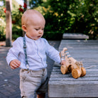 Pull Toy Blue Horse Friendly Toys