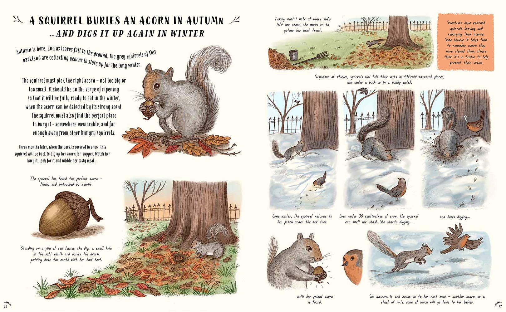 Slow Down: 50 Mindful Moments in Nature Print BooksHachette BooksTAYLOR + MAX