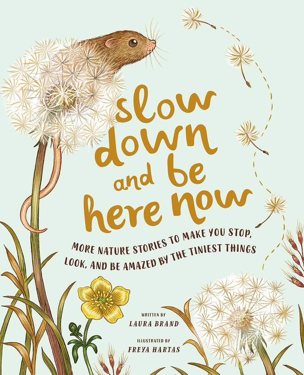 Slow Down and Be Here Now AbramsTAYLOR + MAX