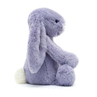 Bashful Viola Bunny Original PlushJellycatTAYLOR + MAX