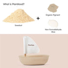 Bathtub Explorers: Sailing Seal Bath Toy Wooden toysplantoysTAYLOR + MAX